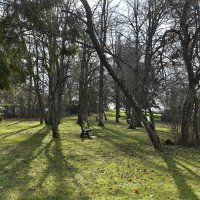 Liste des parcs publics de Bernex